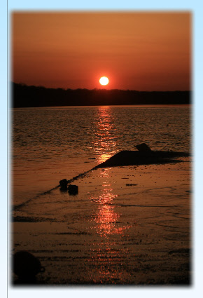 wp537ee85b_0f.jpg