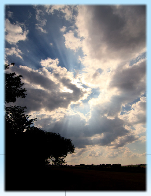 wp715f39d4_0f.jpg